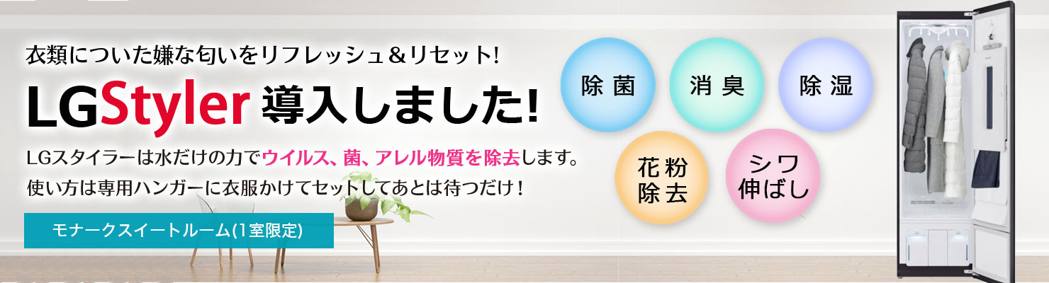LGスタイラー